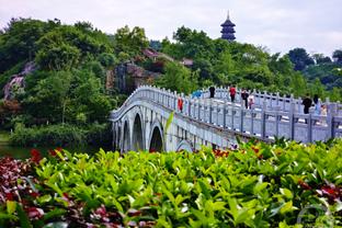 Chủ tịch Crystal Palace: Hodgson có một vị trí đặc biệt trong lịch sử câu lạc bộ và chúc anh ấy những điều tốt đẹp nhất trong tương lai